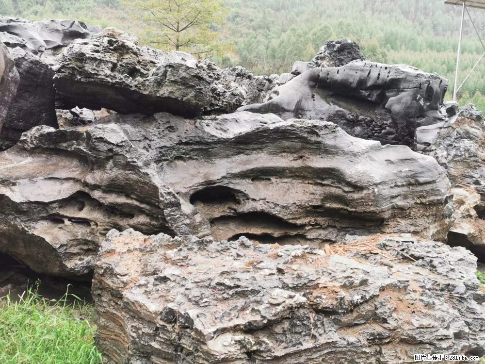 风景石、假山石大量有货，有需要的欢迎联系 - 新手上路 - 镇江生活社区 - 镇江28生活网 zj.28life.net