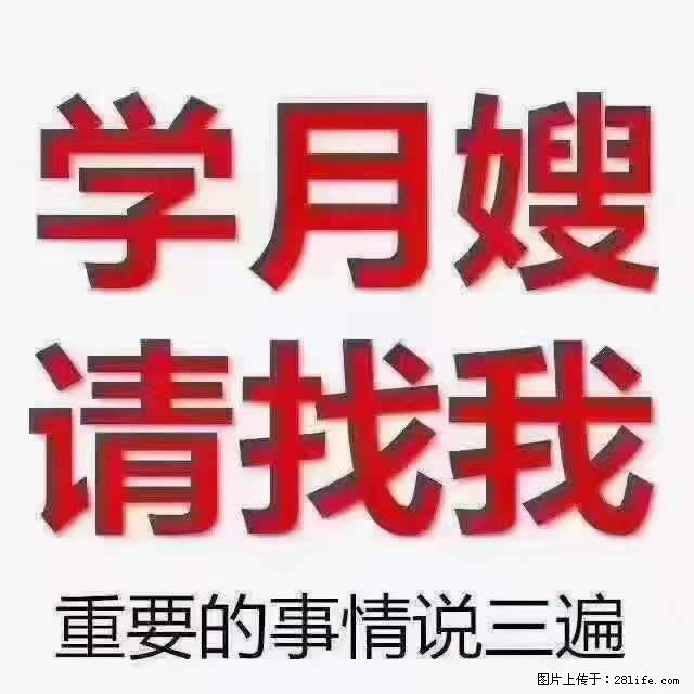 为什么要学习月嫂，育婴师？ - 其他广告 - 广告专区 - 镇江分类信息 - 镇江28生活网 zj.28life.net