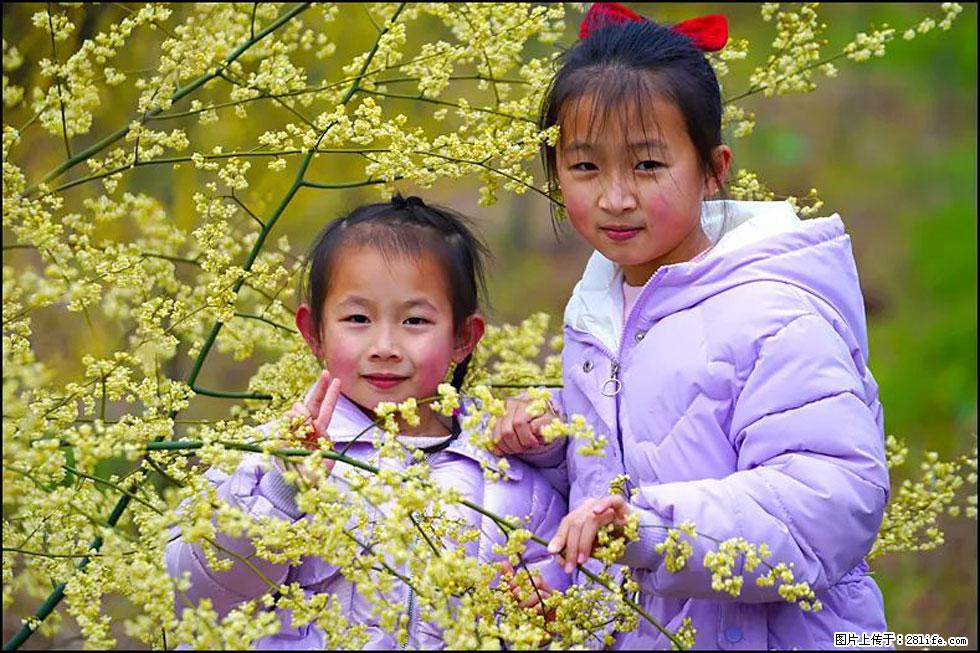 【春天，广西桂林灌阳县向您发出邀请！】米珠山前有片山苍子花在飘香 - 游山玩水 - 镇江生活社区 - 镇江28生活网 zj.28life.net