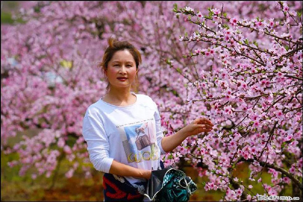 【春天，广西桂林灌阳县向您发出邀请！】官庄村有个醉美的桃花园 - 游山玩水 - 镇江生活社区 - 镇江28生活网 zj.28life.net
