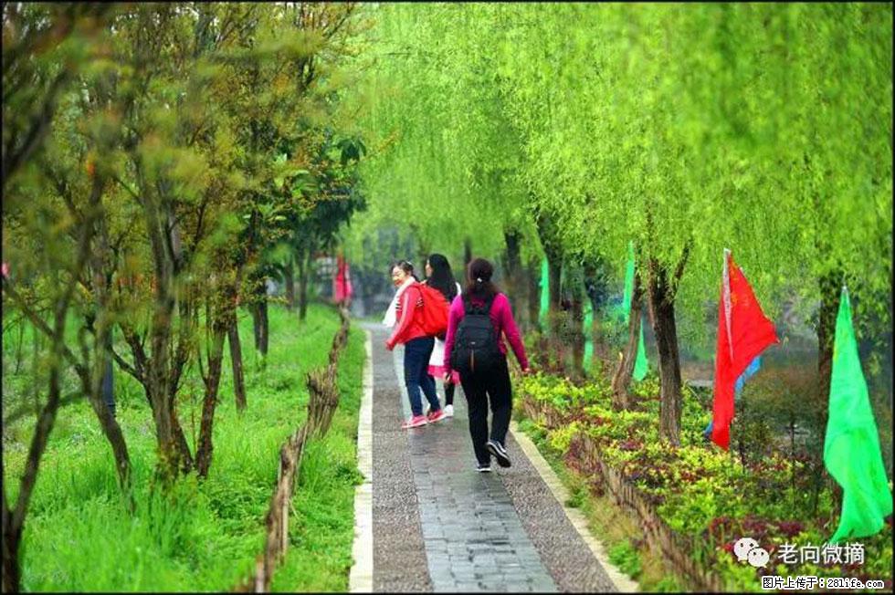 【春天，广西桂林灌阳县向您发出邀请！】江口老街又逢春 - 游山玩水 - 镇江生活社区 - 镇江28生活网 zj.28life.net
