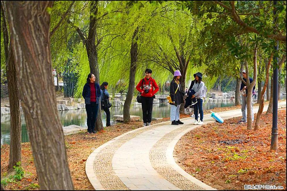 【春天，广西桂林灌阳县向您发出邀请！】江口老街又逢春 - 游山玩水 - 镇江生活社区 - 镇江28生活网 zj.28life.net