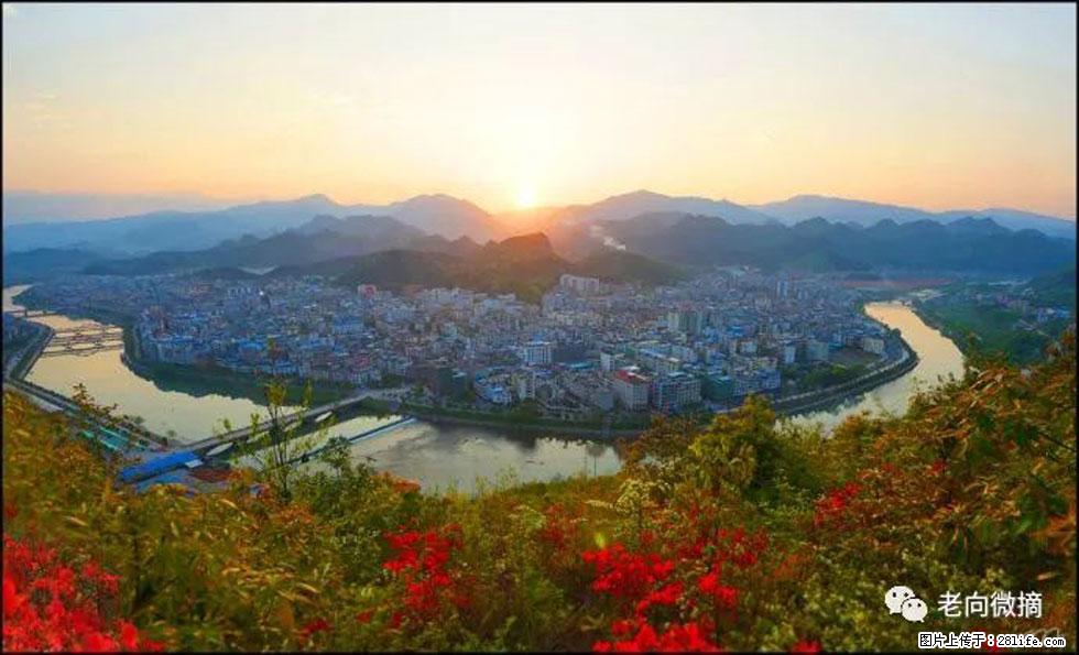 【春天，广西桂林灌阳县向您发出邀请！】登麒麟山，相约映山红 - 游山玩水 - 镇江生活社区 - 镇江28生活网 zj.28life.net
