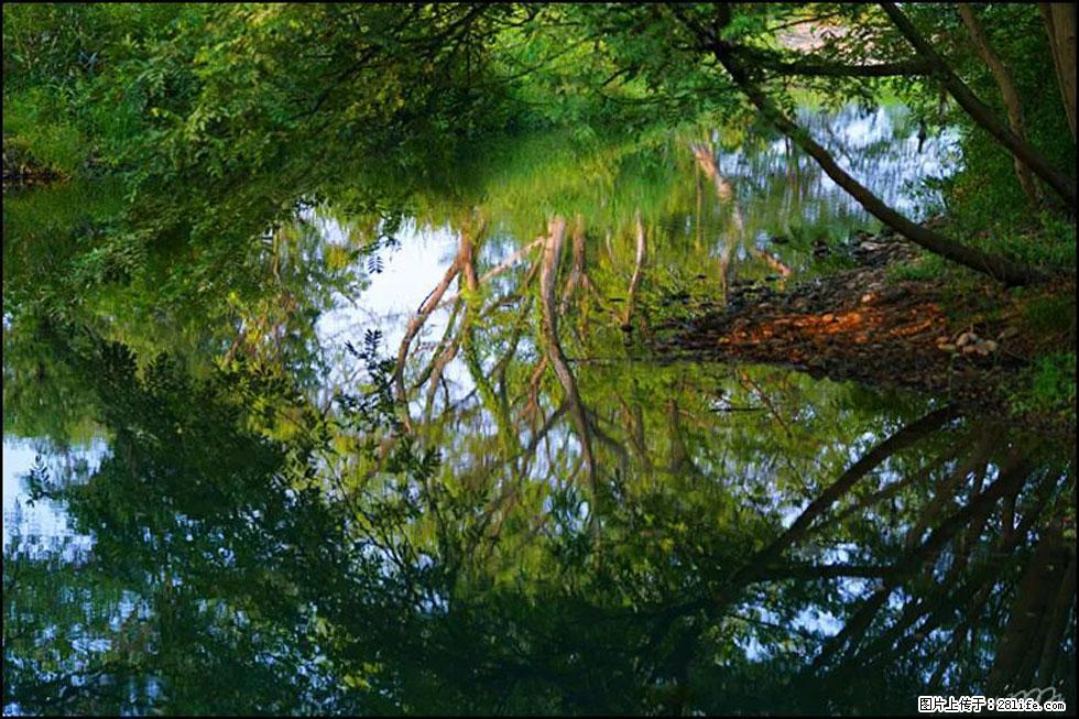 【春天，广西桂林灌阳县向您发出邀请！】熊家寨湿地公园 - 游山玩水 - 镇江生活社区 - 镇江28生活网 zj.28life.net