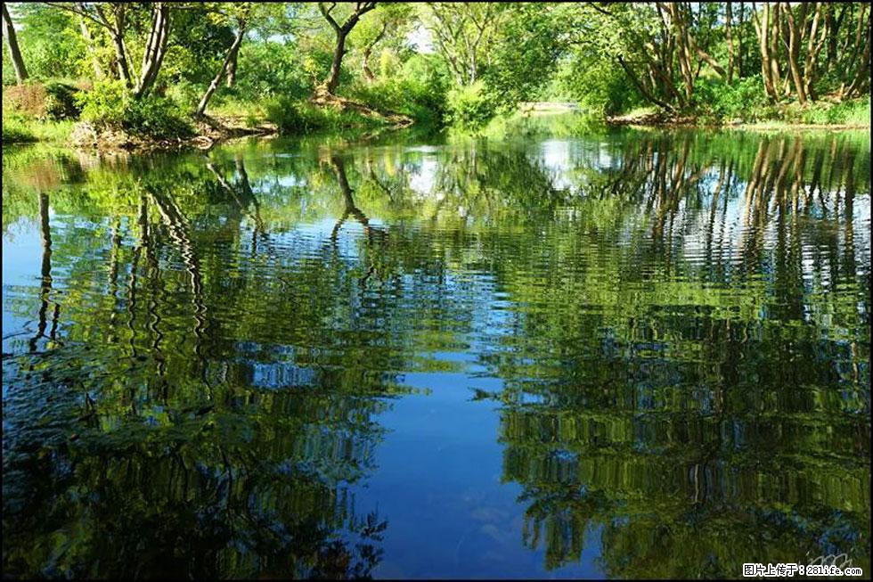 【春天，广西桂林灌阳县向您发出邀请！】熊家寨湿地公园 - 游山玩水 - 镇江生活社区 - 镇江28生活网 zj.28life.net