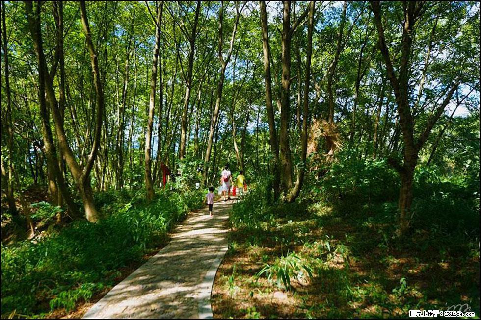【春天，广西桂林灌阳县向您发出邀请！】熊家寨湿地公园 - 游山玩水 - 镇江生活社区 - 镇江28生活网 zj.28life.net
