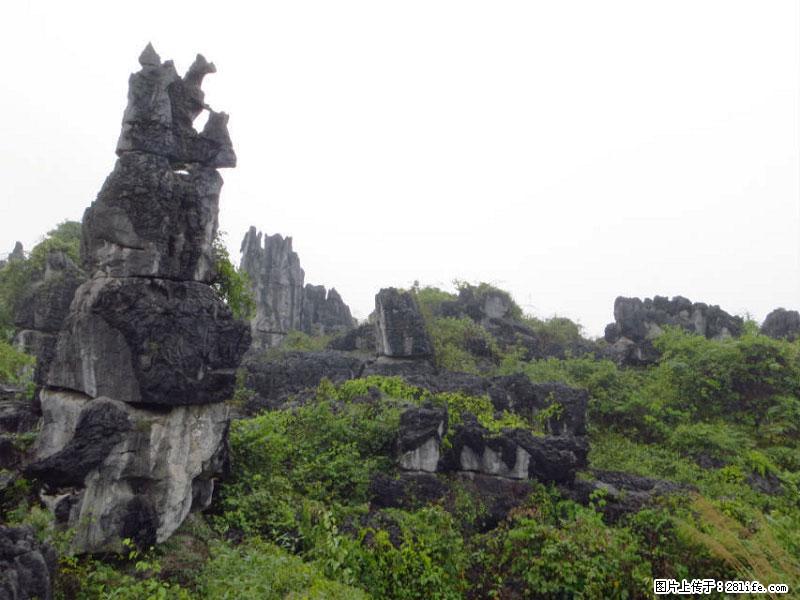 桂林旅游名城景点：灌阳文市石林 - 游山玩水 - 镇江生活社区 - 镇江28生活网 zj.28life.net
