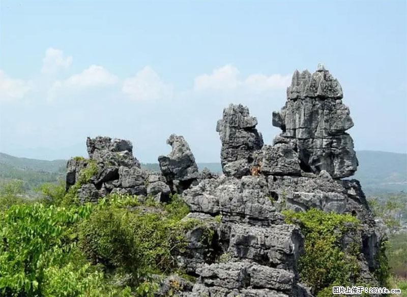 桂林旅游名城景点：灌阳文市石林 - 游山玩水 - 镇江生活社区 - 镇江28生活网 zj.28life.net