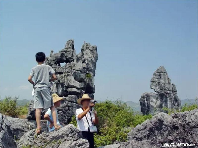 桂林旅游名城景点：灌阳文市石林 - 游山玩水 - 镇江生活社区 - 镇江28生活网 zj.28life.net