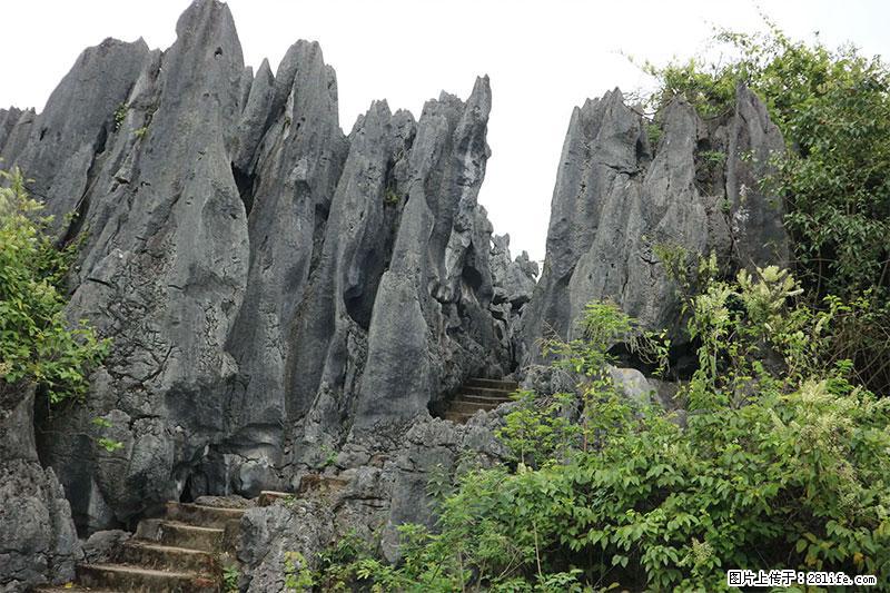 桂林旅游名城景点：灌阳文市石林 - 游山玩水 - 镇江生活社区 - 镇江28生活网 zj.28life.net