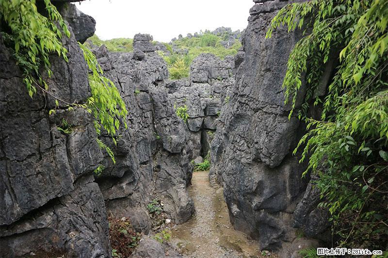 桂林旅游名城景点：灌阳文市石林 - 游山玩水 - 镇江生活社区 - 镇江28生活网 zj.28life.net