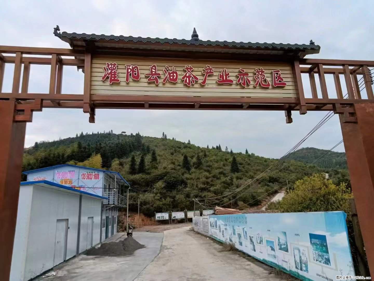【灌阳县油茶产业示范区】一个有着充实的精神生活的人，对待身外之物自会有一种淡泊的态度 - 美食天地 - 镇江生活社区 - 镇江28生活网 zj.28life.net