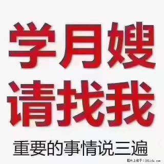 为什么要学习月嫂，育婴师？ - 镇江28生活网 zj.28life.net