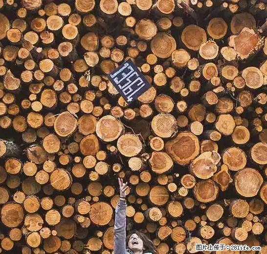 辞掉工作周游世界?现在他们在洗厕所…… - 游山玩水 - 镇江生活社区 - 镇江28生活网 zj.28life.net