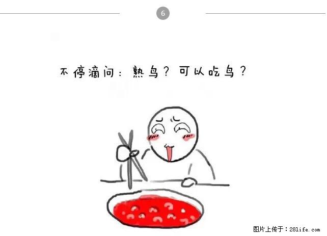 千万不要和这9种哈卵一起吃火锅！ - 美食天地 - 镇江生活社区 - 镇江28生活网 zj.28life.net
