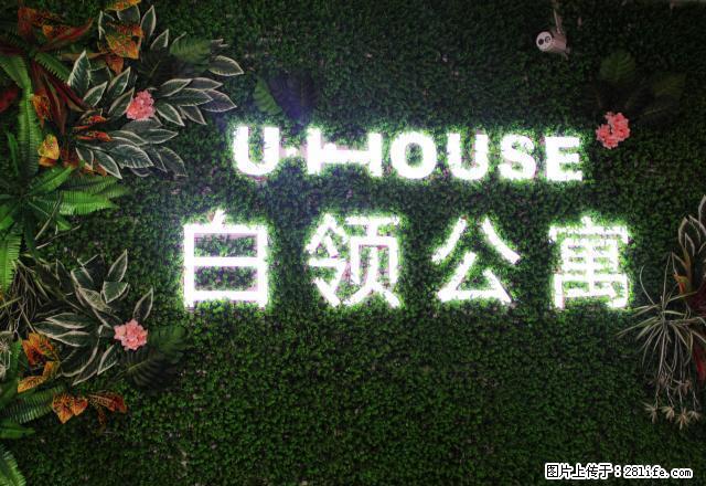 有间屋白领公寓 大市口 国际饭店相邻 精装修 押一付一 - 房屋出租 - 房屋租售 - 镇江分类信息 - 镇江28生活网 zj.28life.net