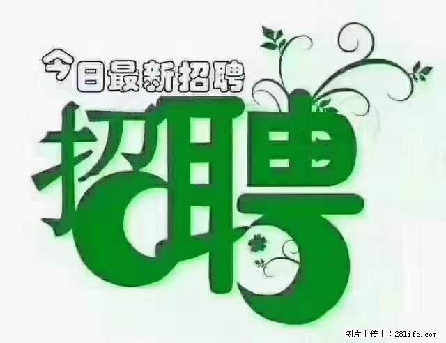 【招聘摄像师】待遇：试用期6000元/月，转正7000元/月+五险一金+餐补+节日福利+奖金 - 职场交流 - 镇江生活社区 - 镇江28生活网 zj.28life.net