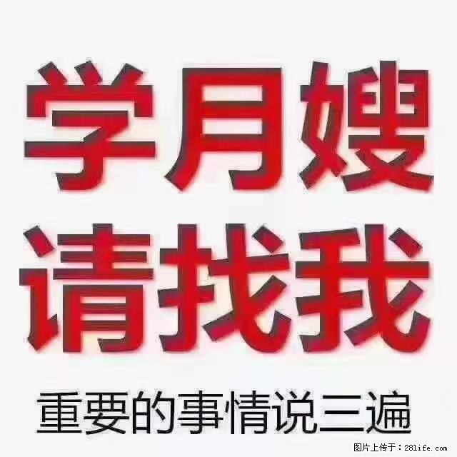 【招聘】月嫂，上海徐汇区 - 职场交流 - 镇江生活社区 - 镇江28生活网 zj.28life.net