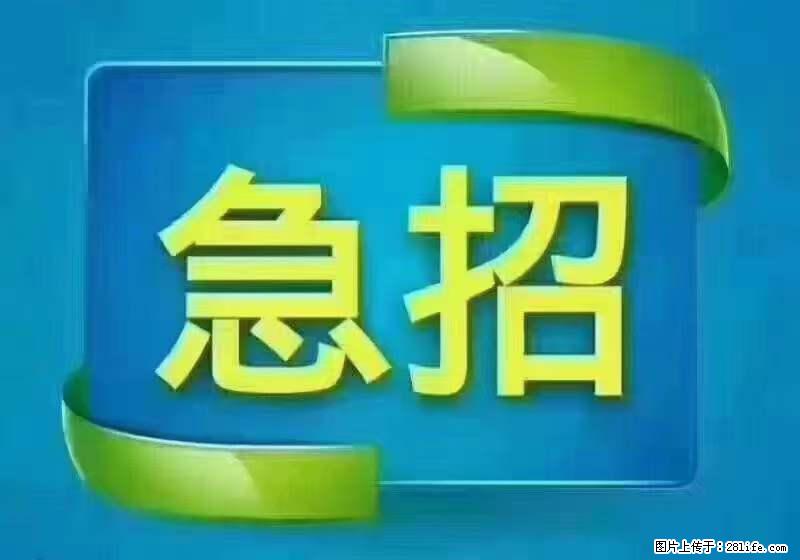 招出纳8000元/月，无证可以，要有相关经验，上海五险一金，包住，包工作餐，做六休一。 - 职场交流 - 镇江生活社区 - 镇江28生活网 zj.28life.net