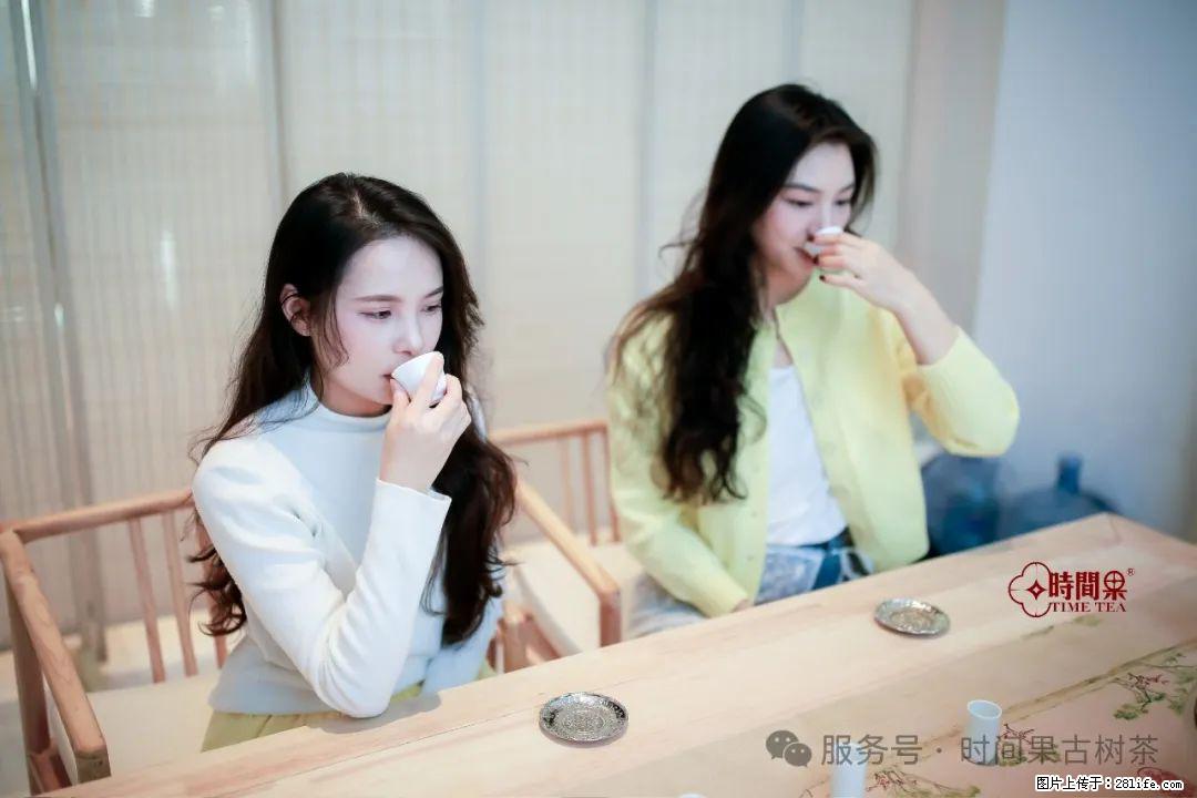 时间果百年古树龙珠普洱生茶 - 购物交流 - 镇江生活社区 - 镇江28生活网 zj.28life.net