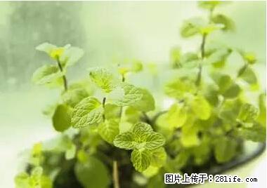 晕车、脚气、牙齿变黄、皮肤粗糙?学会这些三分钟搞定! - 镇江生活资讯 - 镇江28生活网 zj.28life.net