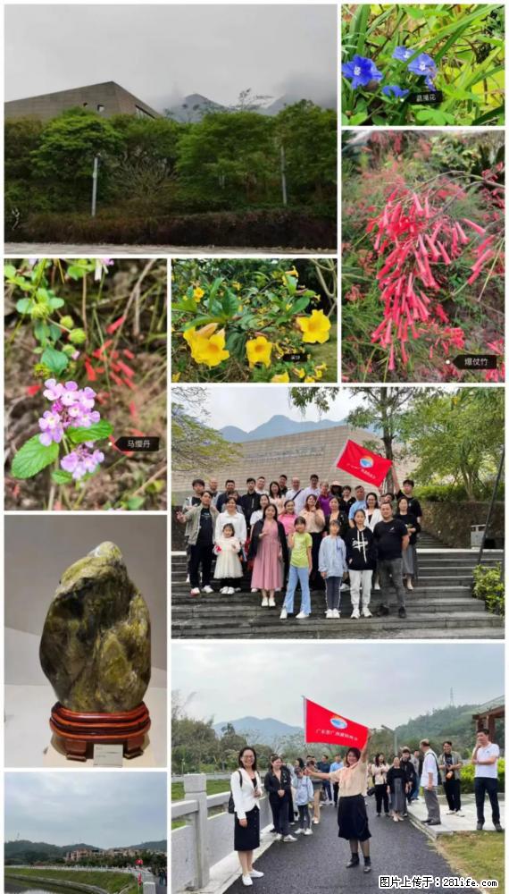 “粤灌文化 美好生活”油茶文化主题活动在广东深圳成功举办 - 镇江生活资讯 - 镇江28生活网 zj.28life.net