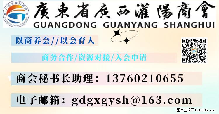“粤灌文化 美好生活”油茶文化主题活动在广东深圳成功举办 - 镇江生活资讯 - 镇江28生活网 zj.28life.net