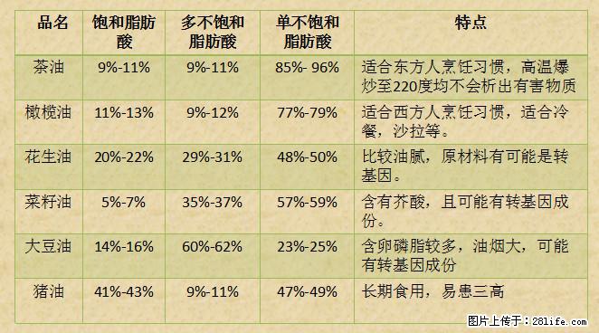 揭秘茶油的5大核心营养成分！被称为人体健康的“守护盾”！ - 镇江生活资讯 - 镇江28生活网 zj.28life.net