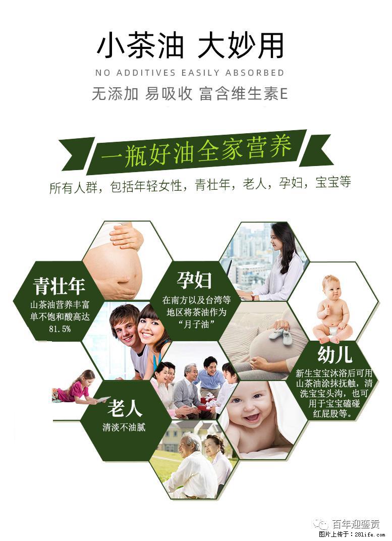 世界没有真相，只有认知，最好的食用油是中国的山茶油！ - 镇江生活资讯 - 镇江28生活网 zj.28life.net