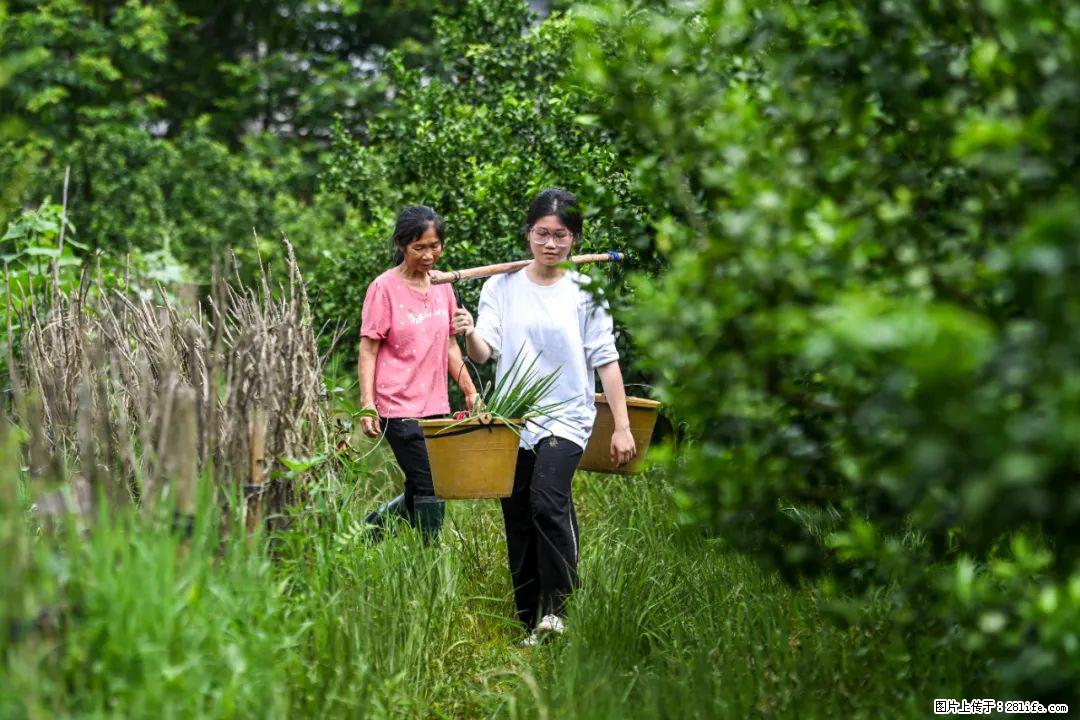 全网追的“扁担女孩”，找了一份暑假工，时薪12元 - 镇江生活资讯 - 镇江28生活网 zj.28life.net