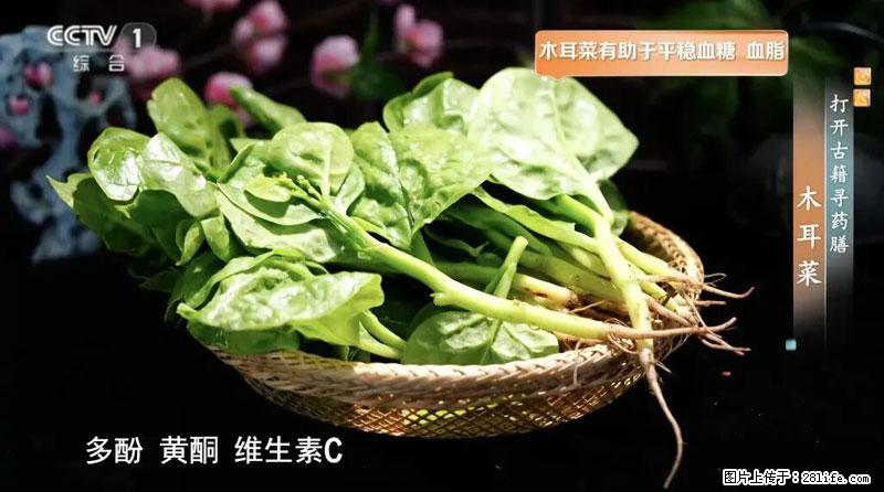 比牛奶补钙还厉害！凉血解毒、稳血糖...这菜冬天必吃，很多人却当草 - 镇江生活资讯 - 镇江28生活网 zj.28life.net