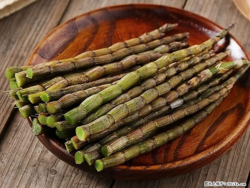 铁皮石斛的作用与功能主治 - 镇江生活资讯 - 镇江28生活网 zj.28life.net