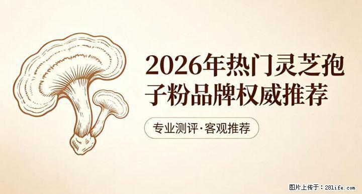 灵芝孢子粉含量越高越有效？2026 年七款热门品牌深度实测，肠胃敏感者避坑指南 - 镇江生活资讯 - 镇江28生活网 zj.28life.net